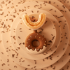 Tiny Smiles™ Donut Brush